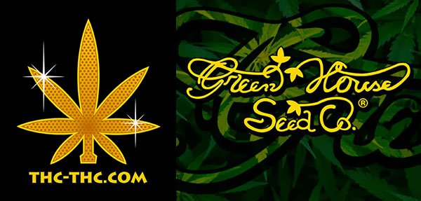 20-09-2010-nowosc-jack-herer-feminized