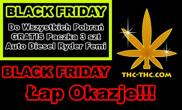 black friday, nasiona marihuany, nasiona konopi