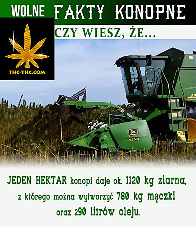 Zrobić, Hektara Konopi, Nasion