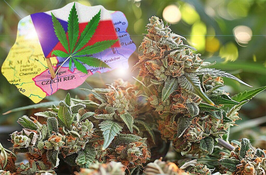legalizacja marihuany w Czechach