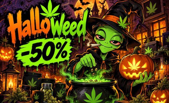 Halloweed halloween w naszym stylu