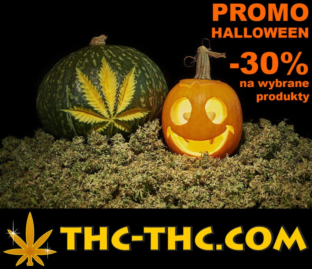 Halloween, Promocje, Promo, Promocji 1+1, Ak472, Green AK XL Automatic, Zambeza Seeds, Automatic, Akseeds, Autofloweringiem, Autoflowering