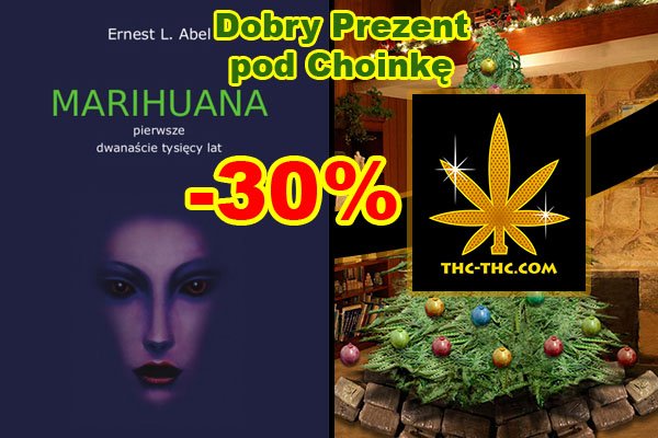 książka, marihuana, o marihuanie