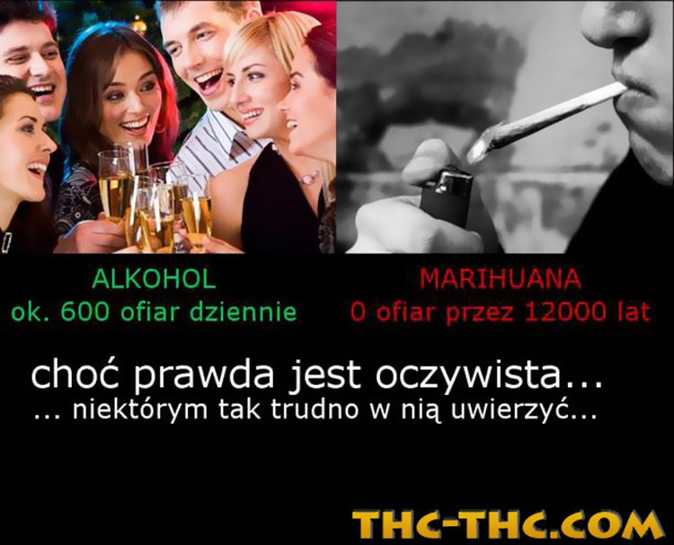 Marihuana vs Alkohol