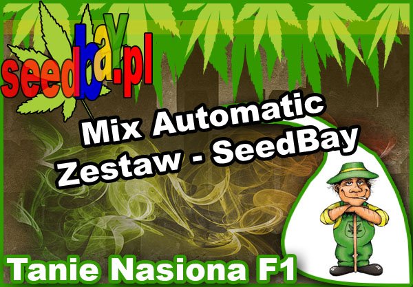 nasiona marihuany, nasiona konopi, feminizowane, mix, automatic, seedbay