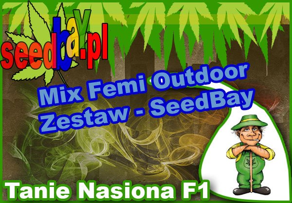 nasiona marihuany, nasiona konopi, feminizowane, mix, outdoor, seedbay