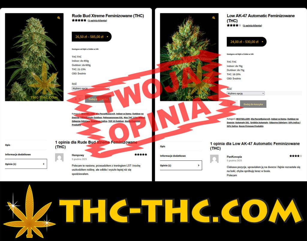 opinie i recenzje oraz ocena nasion w sklepie thc