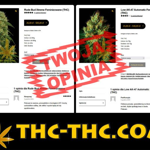 Opinie z ocena wystawianie recenzji poszczegolnych nasion marihuany