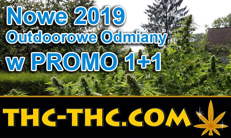 outdoor, odmiany, promo 1+1