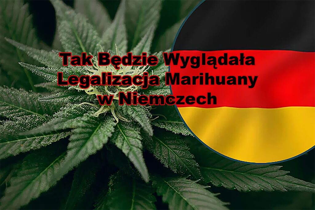 Niemcy legalizują marihuanę
